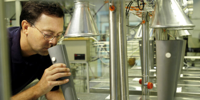 482190_sbi—joergen-true