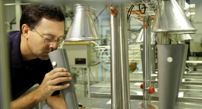 482190_sbi—joergen-true