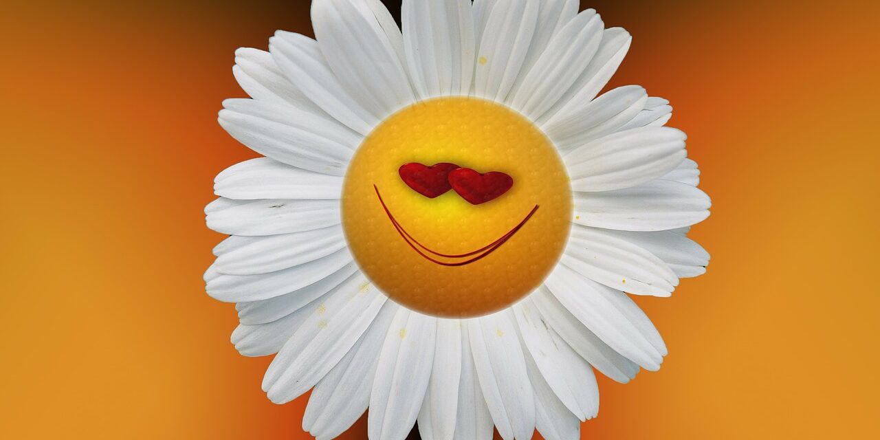 marguerite-74886_1280