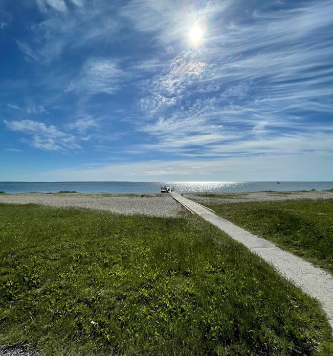 Moesgaard Strand badebro Moesgaard Strand med badebro, rampe og toilet i nærheden